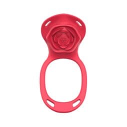 bärbar-klitoris-stimulator-fjärrkontroll-uppladdningsbar-städhjälp-teazers